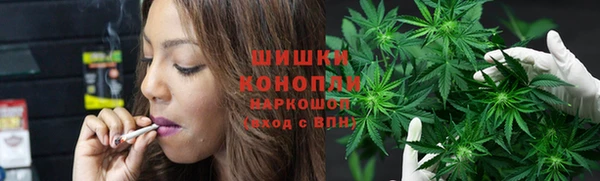шишки Арсеньев