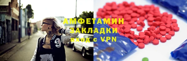 шишки Арсеньев
