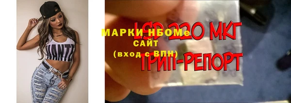 шишки Арсеньев