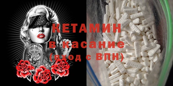 шишки Арсеньев