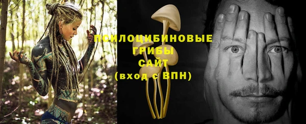 шишки Арсеньев