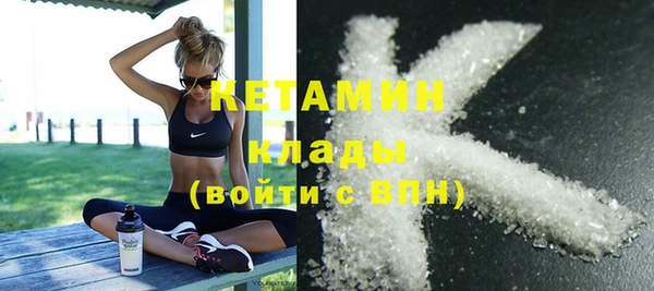 шишки Арсеньев