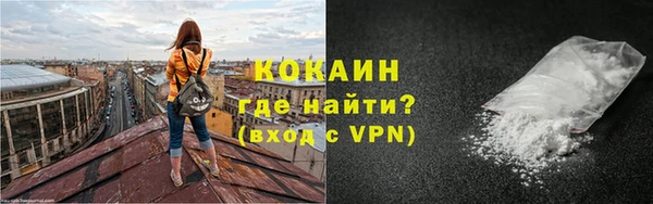 шишки Арсеньев