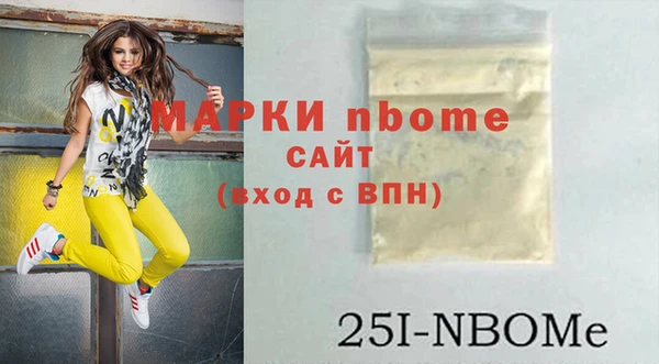 шишки Арсеньев