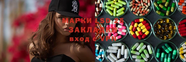 шишки Арсеньев